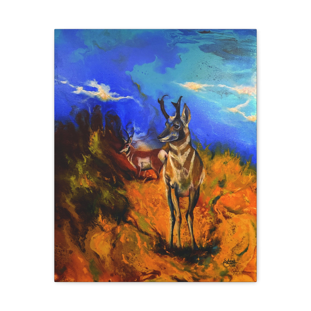 Desert Dweller — Canvas Print