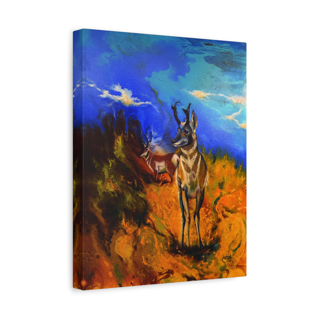 Desert Dweller — Canvas Print