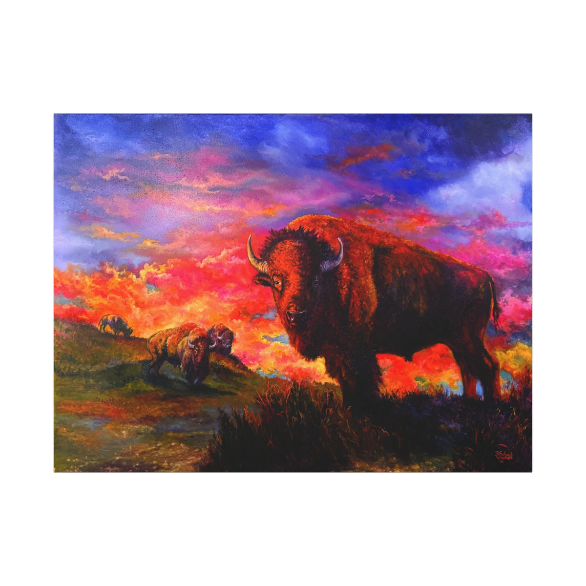 Prairie King — Canvas Print