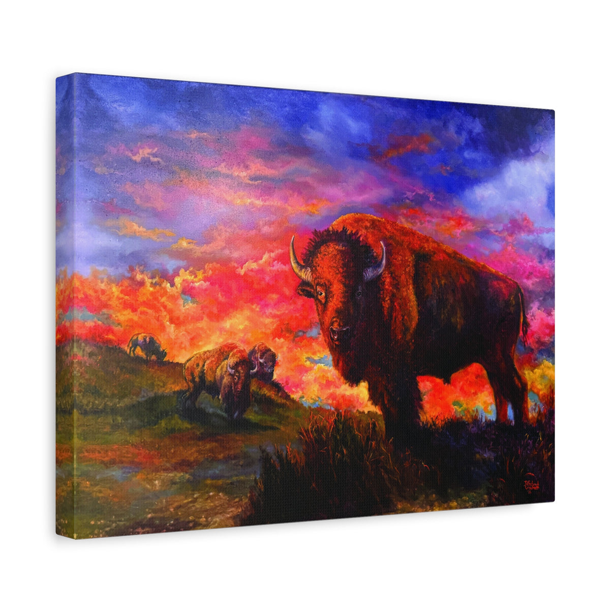 Prairie King — Canvas Print