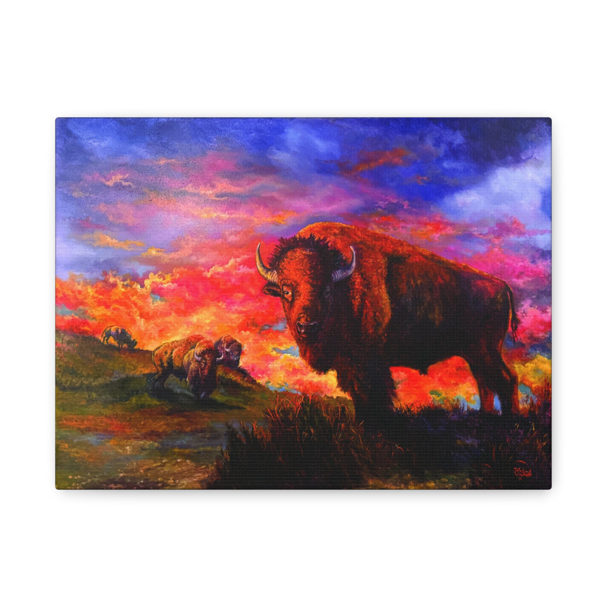 Prairie King — Canvas Print