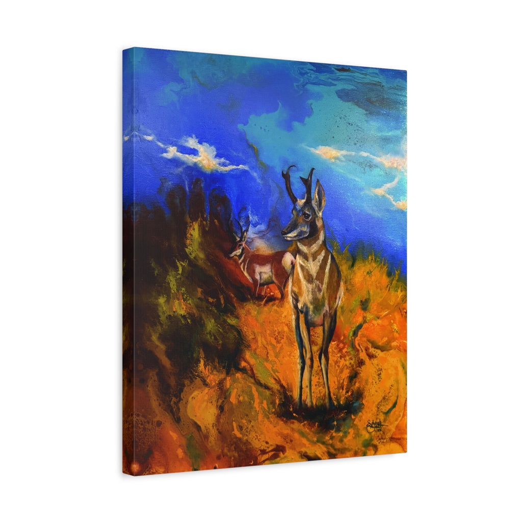 Desert Dweller — Canvas Print